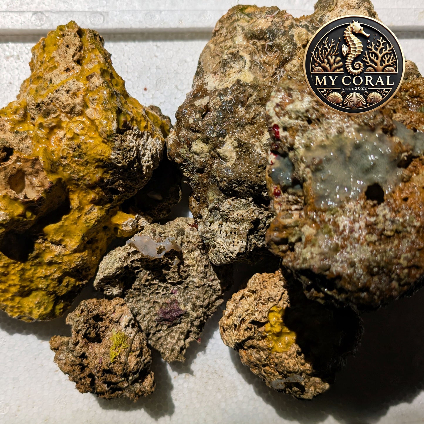 Pierre vivante premium – Origine Indonésie - Au kg