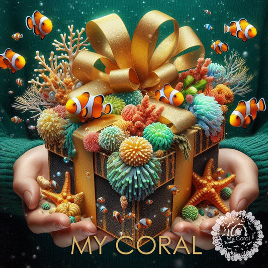 Boîte Mystère - Collection Zoanthus