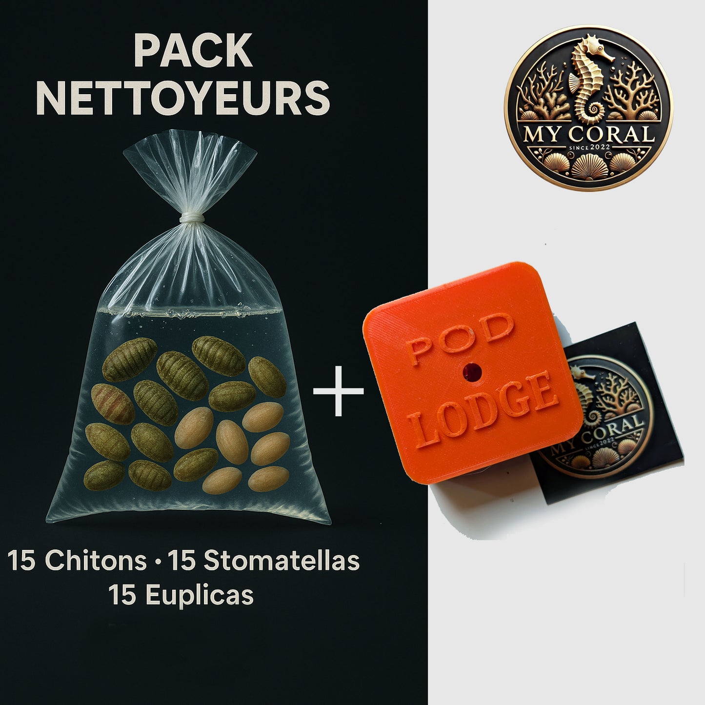 Pack petits nettoyeurs + POD LODGE