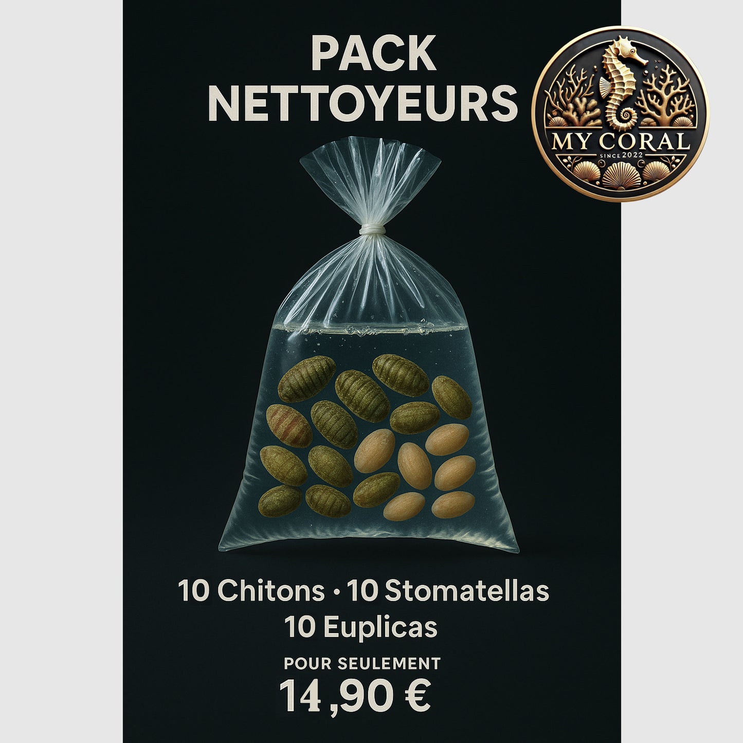 Pack petits nettoyeurs