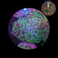 Euphyllia de Culture WYSIWYG- Paraancora- Blotchy - EB103
