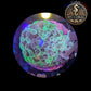 Euphyllia de Culture WYSIWYG- Paraancora- Blotchy (Tiny) - EB106