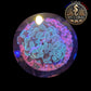 Euphyllia de Culture WYSIWYG- Paraancora - Green - EPG103