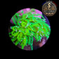Euphyllia de Culture WYSIWYG- Glabrescens - HOLY GRAIL (3Têtes)  - EGHG102