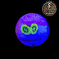 Zoanthus de Culture WYSIWYG - Qatar Yoda - ZQY002