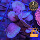 Pavona de Culture WYSIWYG - Cactus PCB101