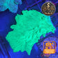 Coraux mous de Culture WYSIWYG - Sinularia Dura FLUO Green SDUG001