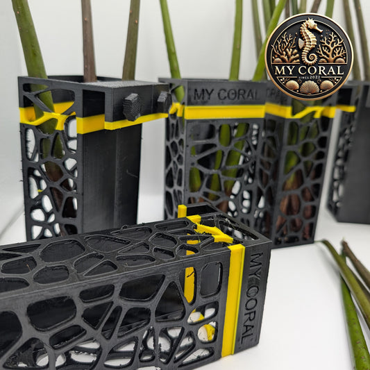 Support Bicolor MY CORAL à accroche pour Plantules de Palétuvier