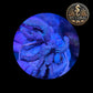 Coraux mous de Culture WYSIWYG -Sinularia Flexibilis Vert - SNG102
