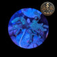 Coraux mous de Culture WYSIWYG -Sinularia Flexibilis Vert - SNG102