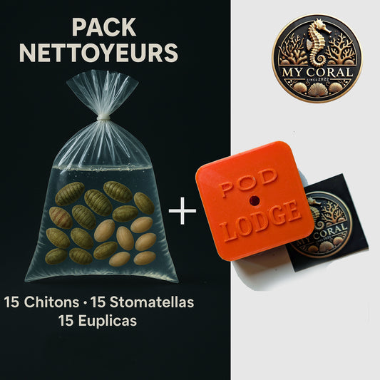 Pack petits nettoyeurs + POD LODGE