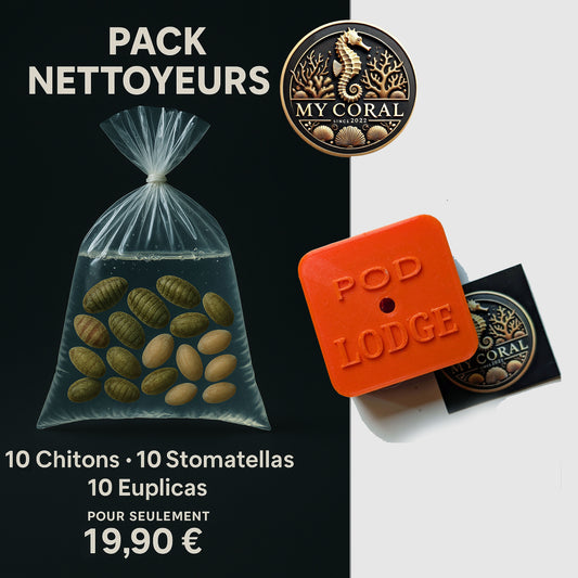 Pack petits nettoyeurs + POD LODGE