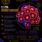 Zoanthus à la demande - Orange BAM BAM