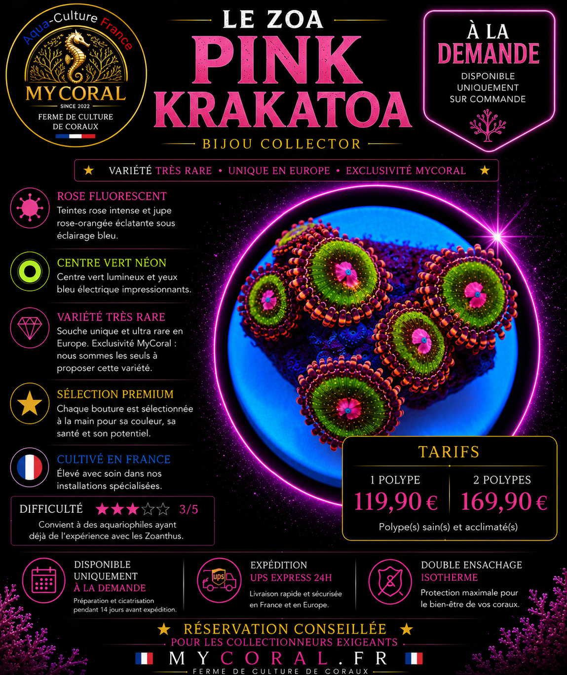 Zoanthus à la demande - Collector - Pink Krakatoa