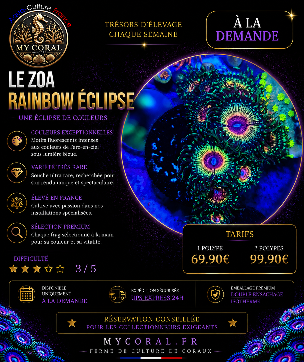 Zoanthus à la demande - Collector - Raimbow Eclipse