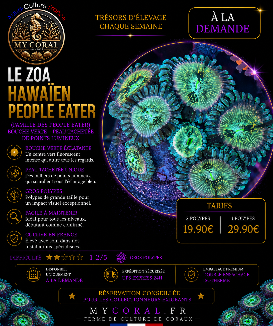 Zoanthus à la demande - Hawaien People Eater
