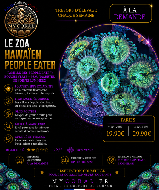 Zoanthus à la demande - Hawaien People Eater