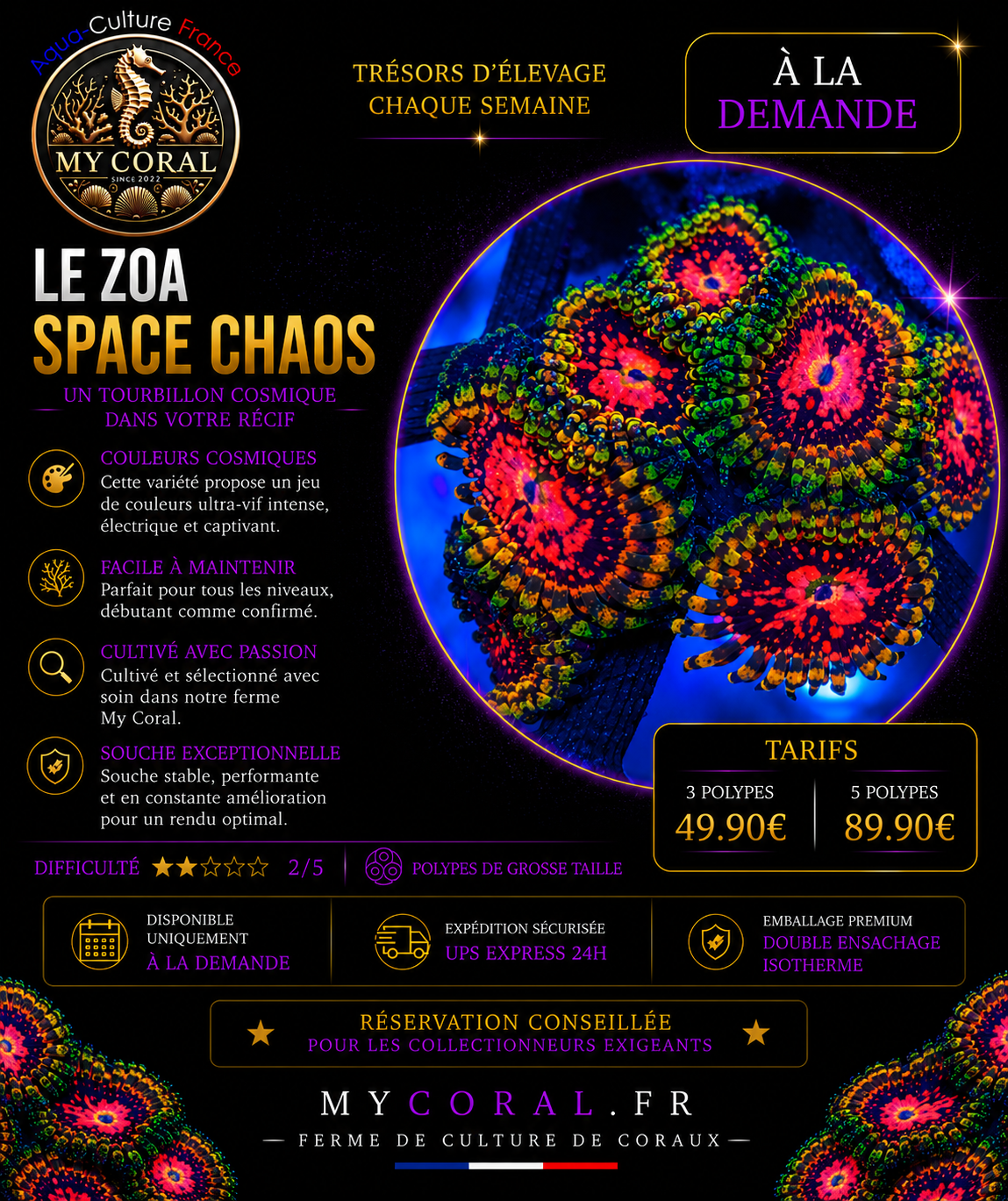 Zoanthus à la demande - BigR Space Chaos