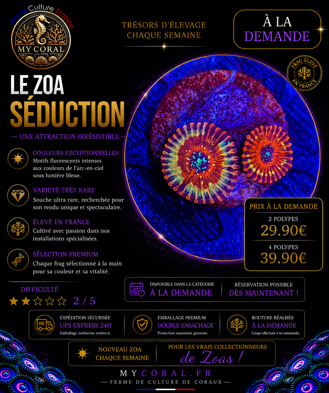 Zoanthus à la demande - Séduction