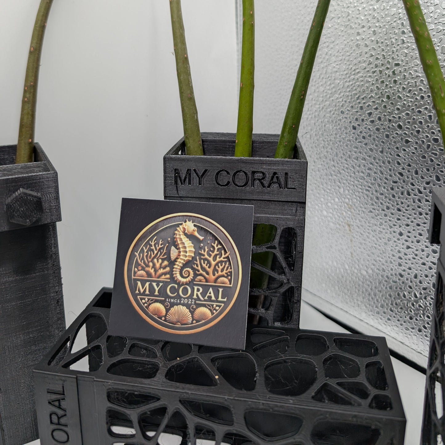 Support MY CORAL à accroche pour Plantules de Palétuvier