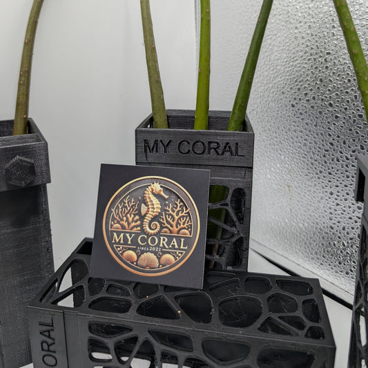 Support MY CORAL à accroche pour Plantules de Palétuvier
