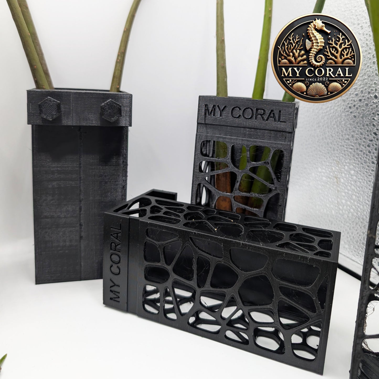 Support MY CORAL à accroche pour Plantules de Palétuvier